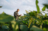 Portrait d'un jeune agriculteur debout dans un champ
